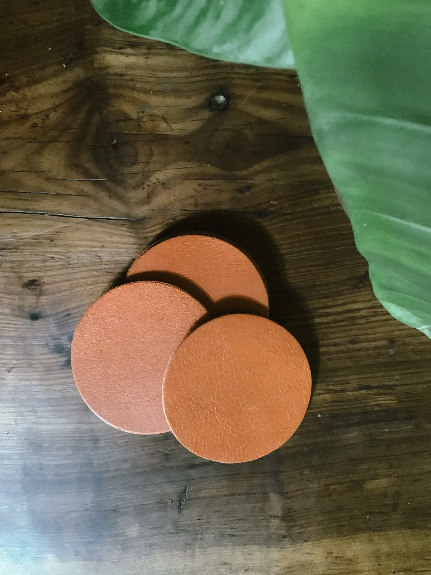 Round Coaster Set (6)